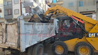 رفع 88 طن قمامة بشوارع قلين بكفر الشيخ