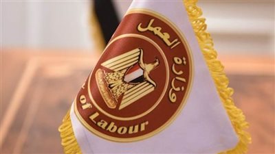 وزارة العمل: فرص عمل لـ 553 ألفًا و 170 شابًا وفتاةً وانخفاض معدل البطالة لـ7%