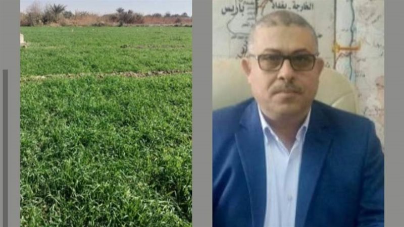 زراعة 300الف و911فدانا