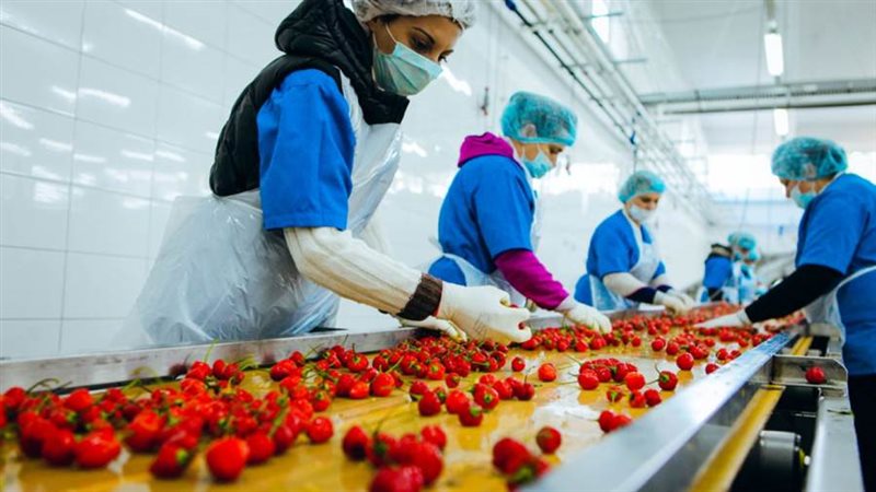 صادرات مصر من الصناعات