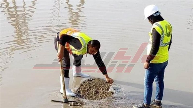 محافظ كفرالشيخ