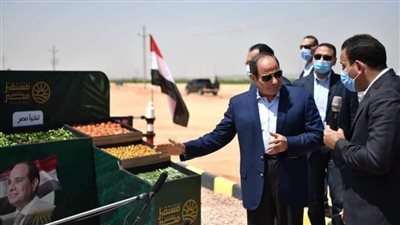 القصير: نهضة غير مسبوقة في عهد الرئيس السيسي لتحقيق الأمن الغذائي