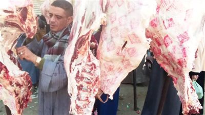 تموين المنيا: تحرير 98 مخالفة متنوعة خلال حملات على المخابز البلدية والأسواق