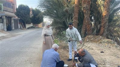 محافظ أسيوط تنفيذ أعمال تشجير وزراعة شتلات بمركز البداري ضمن مبادرة 