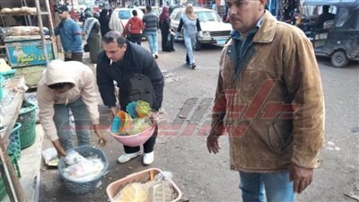 حملات مكبرة لرفع الإشغالات وتيسير حركه المرور بالحامول في كفر الشيخ