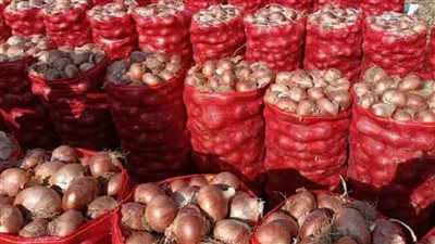 عاجل.. النيابة العامة تقرر تسليم 567 طنًا من البصل للجهات التابعة لوزارة التموين