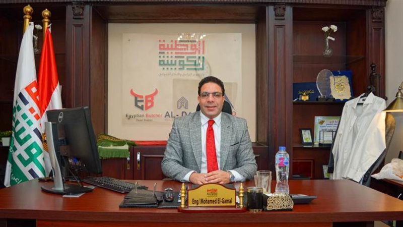 المهندس محمد الجمال