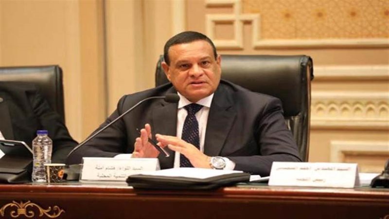 وزير التنمية المحلية