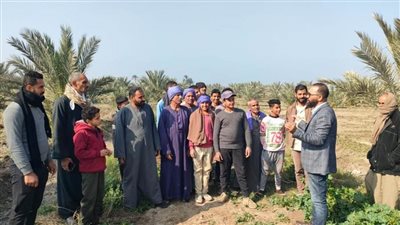 المعمل المركزي للنخيل ينظم يوما حقليا لمزارعي المنيا