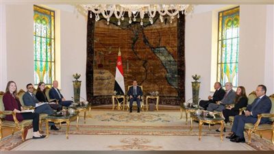 عاجل.. الرئيس السيسي يؤكد ضرورة وقف إطلاق النار في غزة