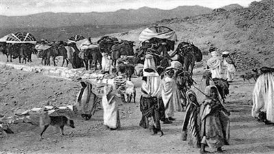  البرابرة وأصلهم