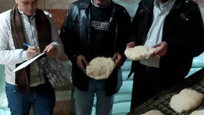 تحرير ٦٨ محضرًا تموينيًا في حملة رقابية مكبرة بالبحيرة 