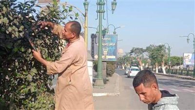 زراعة 215 شجرة مثمرة وحملات لقص وتهذيب الأشجار ورفع كفاءة النظافة بالمنيا