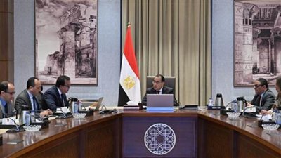  رئيس الوزراء يتابع مع وزير الصحة مستجدات الموقف التنفيذي للمبادرة الرئاسية لفحص المقبلين على الزواج