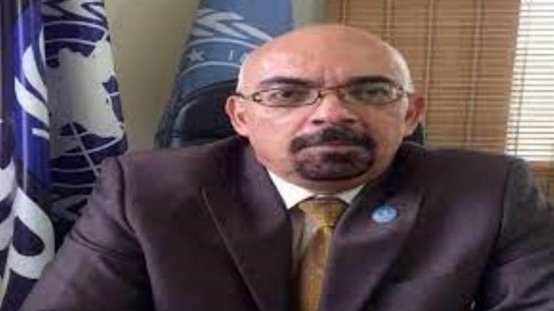 رئيس بعثة المجلس