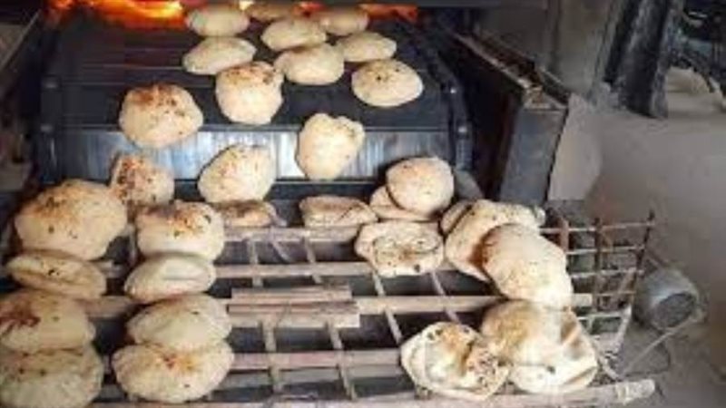 حملات تموينية متنوعة