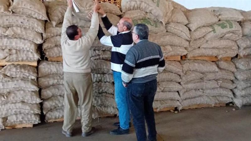 جانب من حملات التفتيش