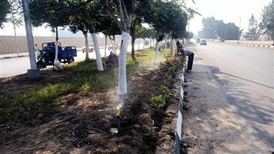 رفع كفاءة الجزيرة الوسطى بطريق بورسعيد بحيِّ ثان مدينة الإسماعيلية