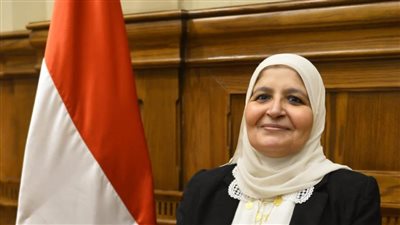 برلمانية ترفض ادعاءات الاحتلال الإسرائيلي ضد مصر أمام محكمة العدل الدولية