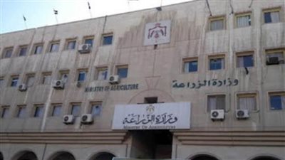 الزراعة وفاو يصدران نشرات إرشادية لتوعية المزارعين بخطورة دودة الحشد