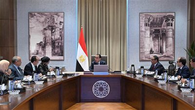 عاجل ..رئيس الوزراء يستعرض مع وزيرة البيئة ملف الاستثمار البيئي والمناخي