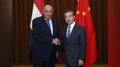 برلمانيون: البيان المصري - الصيني يأتي ضمن التحركات المصرية لدعم الشعب الفلسطيني