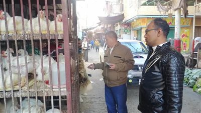 المنيا.. ضبط 125 مخالفة متنوعة خلال حملات على المخابز البلدية والأسواق