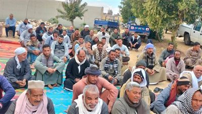 الزراعة توجه قافلة إرشادية لمزارعي الصعيد