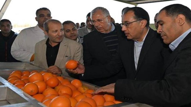 رئيس مجلس الوزراء