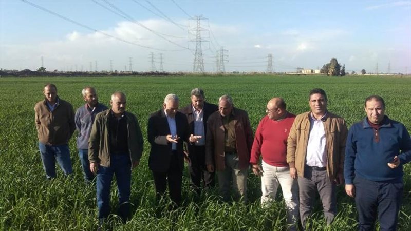 د. أيمن عبدالعال