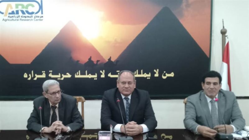 د.عادل عبدالعظيم