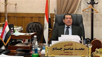 عاجل.. رئيس محكمة استئناف القاهرة: إنشاء 29 دائرة جنائية جديدة 