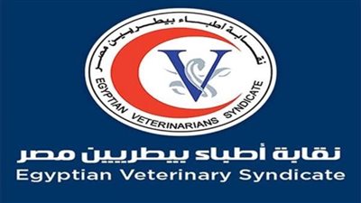 انتخابات البيطريين: بدء فحص الطعون.. وفتح باب التنازلات 21 يناير