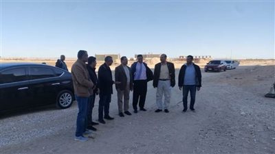 اكتشاف علمي مشترك بين جامعتي الوادي الجديد وعين شمس لعظام زاحف بحري من نوع جديد بصحراء واحة الداخلة