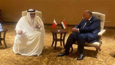 شكري يحذر من مغبة توسيع رقعة الصراع في المنطقة على السلم والأمن الإقليمي والدولي