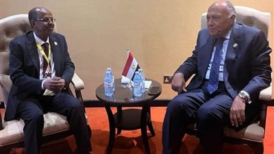 عاجل.. شكرى ونظيره الجيبوتي يؤكدان خطورة التطورات الأخيرة ذات الصلة بالوضع في الصومال