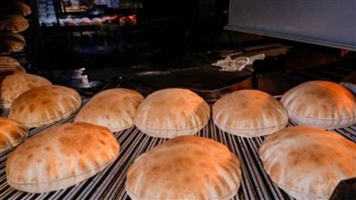 خبز البطاطا.. الوادي الجديد تنتج خبز البطاطا وعميد كلية الزراعة مكلف للغاية