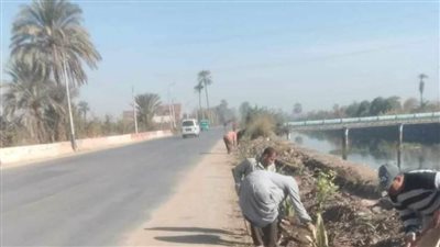 ضمن مبادرة 100 مليون شجرة.. زراعة 330 شجرة مثمرة وزينة بمطاي والمنيا