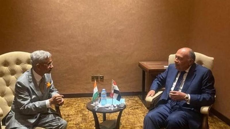 سامح شكري وزير الخارجية