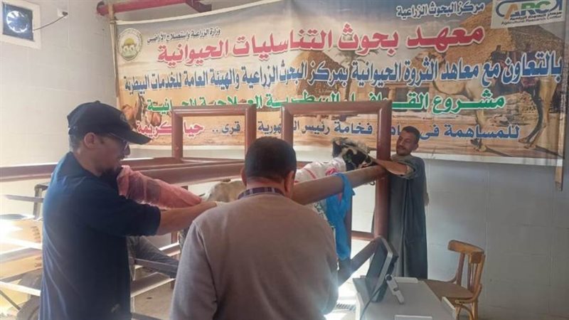 جانب من القافلة البيطرية