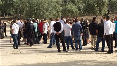 عشرات المستوطنين الإسرائيليين يقتحمون باحات الأقصى بحماية شرطة الاحتلال
