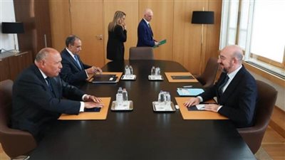 شكري يحذر من مغبة استمرار الأزمة في غزة واتساع دائرة الصراع والزج بالمنطقة في سيناريوهات لا يمكن التنبؤ بعواقبها