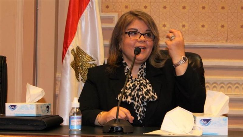 النائبة فيبي فوزي