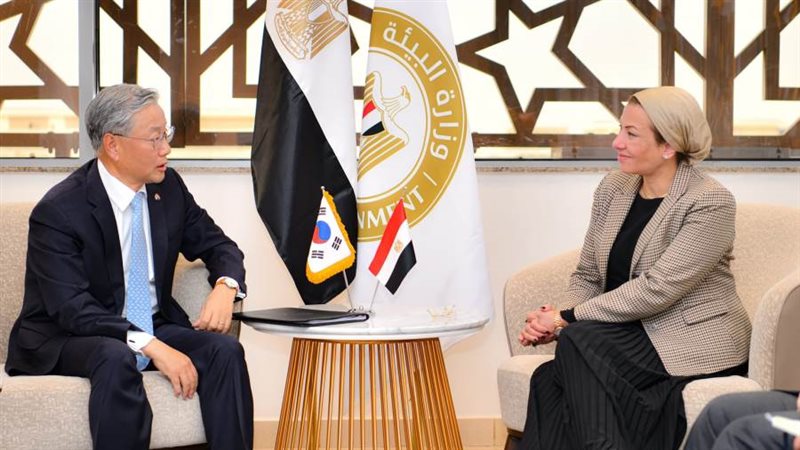 الدكتورة ياسمين فؤاد