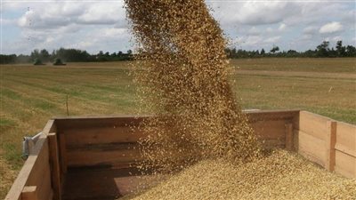 لاتفيا تجدد طلبها بحظر واردات الحبوب الروسية إلى الاتحاد الأوروبي