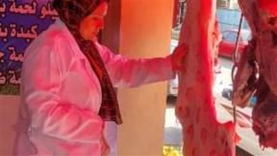 ضبط 500 طن لحوم ودواجن وتحرير 25 محضر مخالفة بالشرقية 