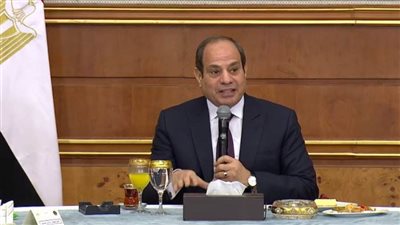 الرئيس السيسي: مصر تكثف جهودها من أجل تحقيق الاستقرار في المنطقة