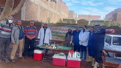 الزراعة تفحص 7500 رأس ماشية لصغار المربين بأسيوط 