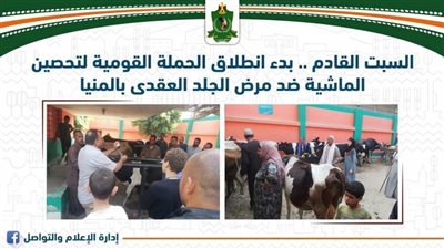 السبت.. انطلاق الحملة القومية لتحصين الماشية ضد مرض الجلد العقدي بالمنيا