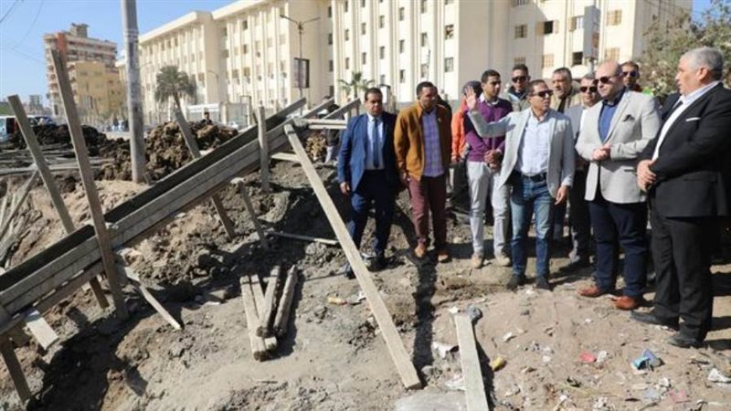 مشروع كوبرى الشاملة